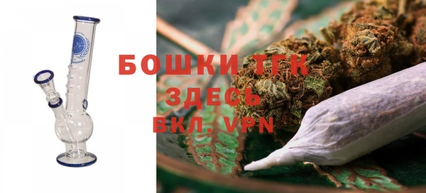 сатива Армянск
