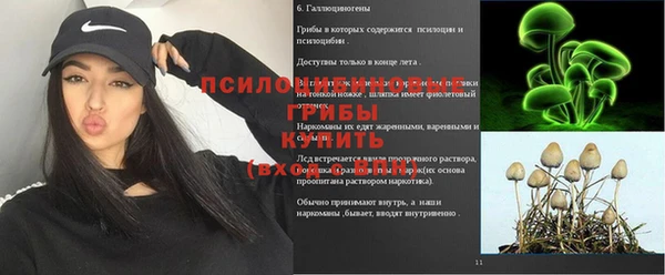 сатива Армянск