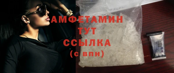 крисы Аркадак